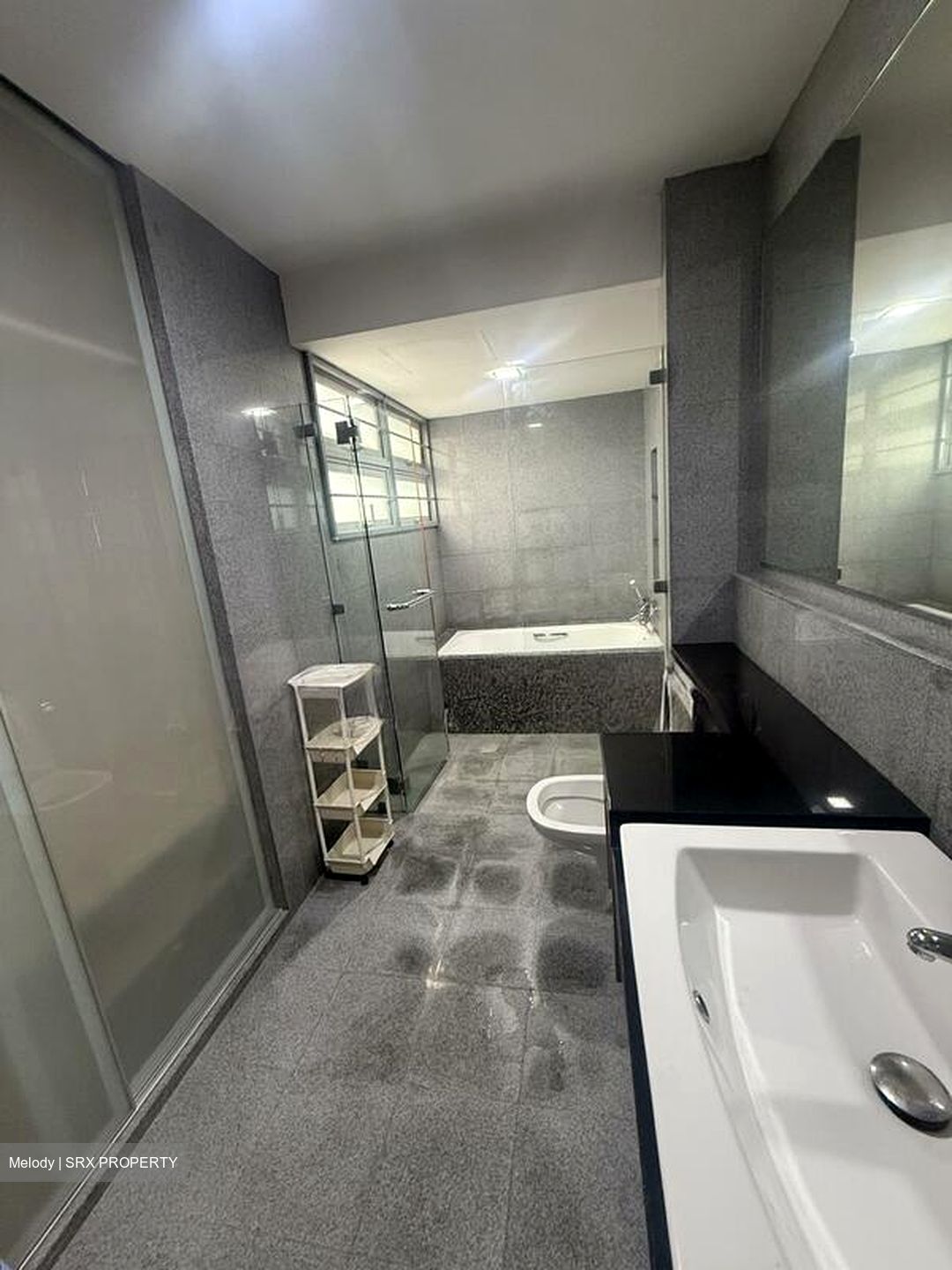 The Linear (D23), Apartment #520489061